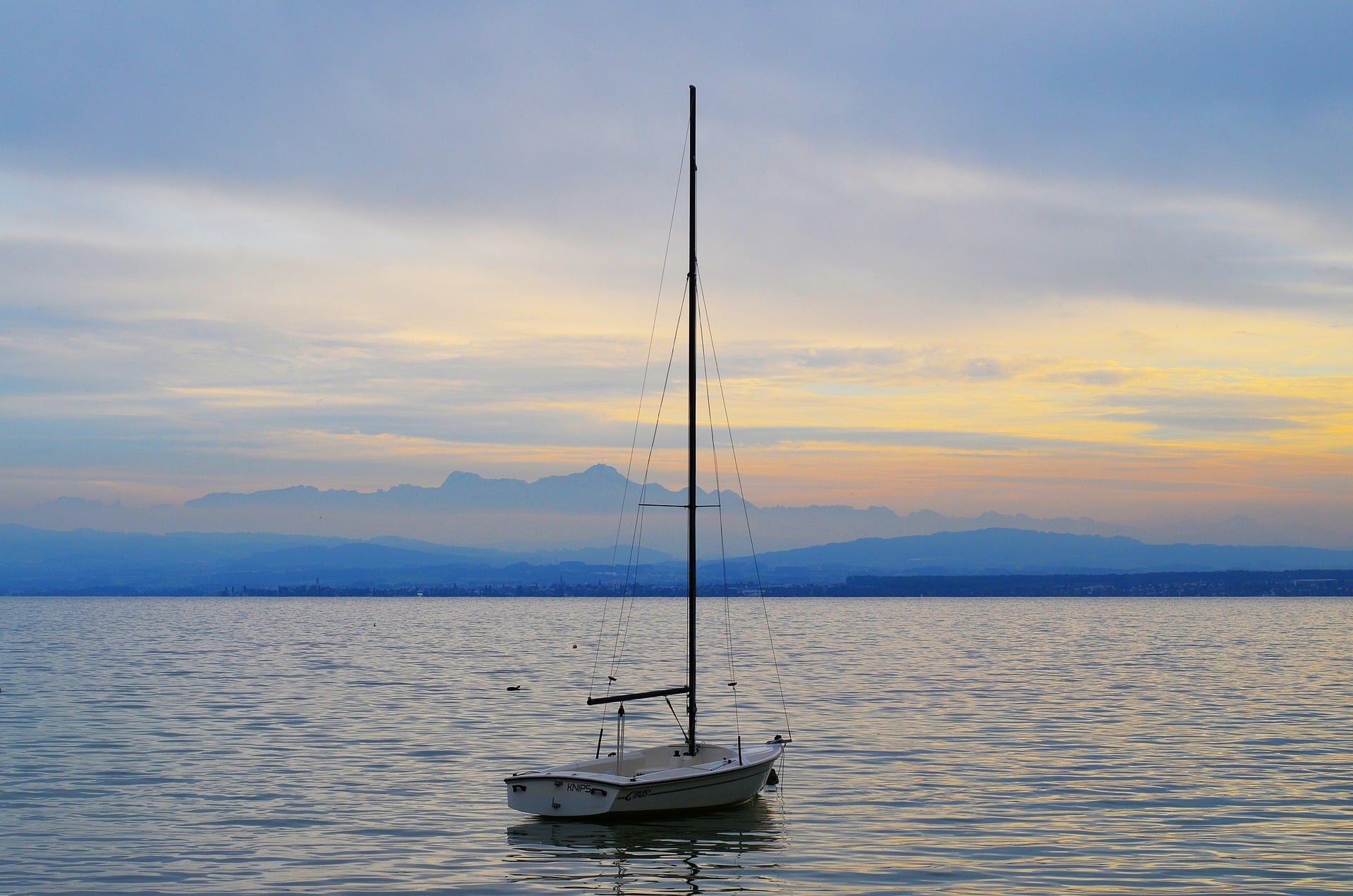 immagine Test 4